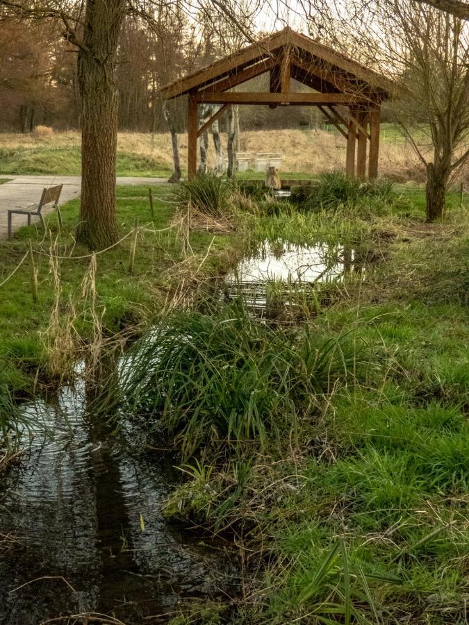 منزل الضيف Buding  في Le Domaine Des Droles De Dames المظهر الخارجي الصورة